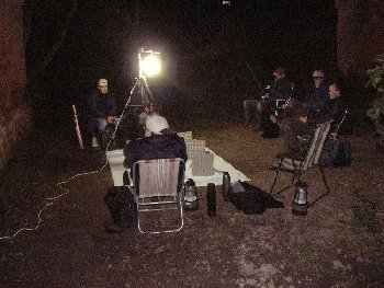 Moth night - around the sheet light