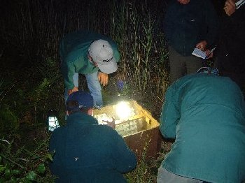 Moth night - inspecting one of the traps